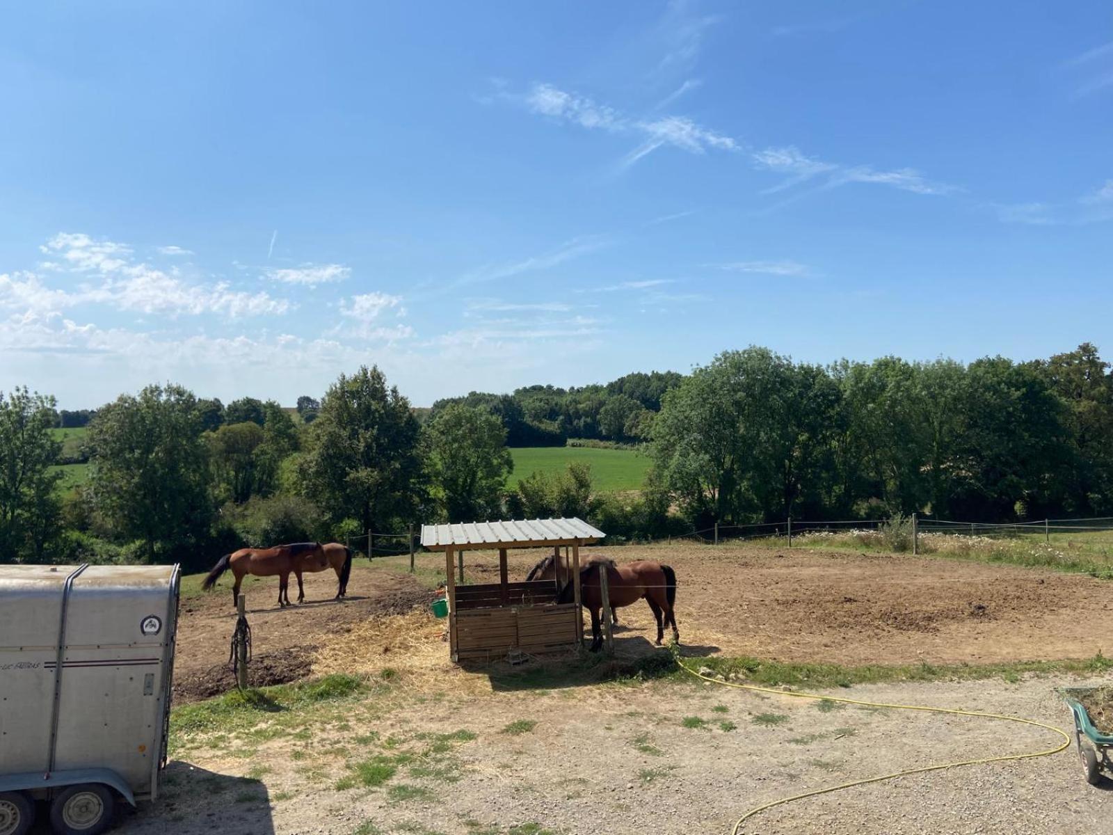 Chambre D'Hotes Des Roseaux La Foret-sur-Sevre Esterno foto